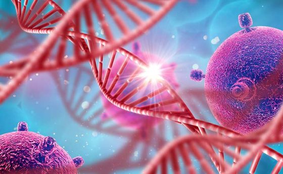 Il Vago protegge dal Cancro: la nuova frontiera della Prevenzione