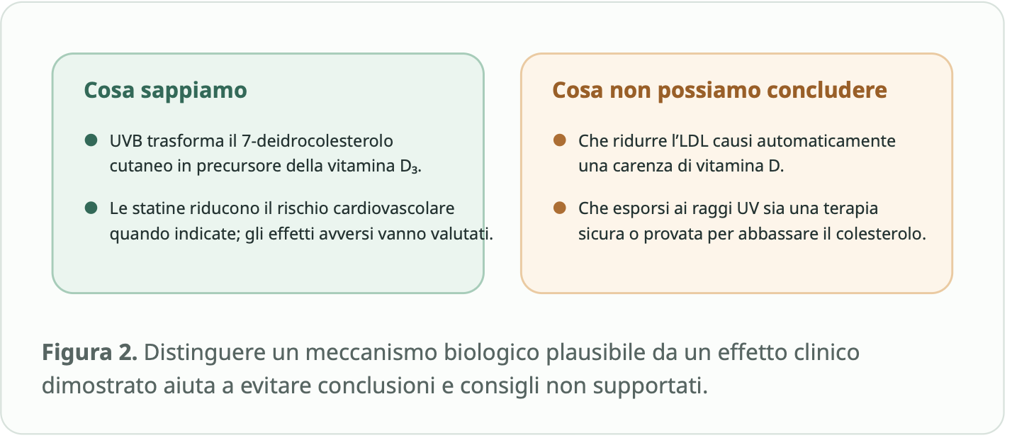 Cosa sappiamo e cosa non possiamo concludere: sintesi cutanea della vitamina D e benefici delle statine quando indicate non dimostrano che ridurre le LDL causi carenza di vitamina D o che gli UV siano una terapia per il colesterolo.